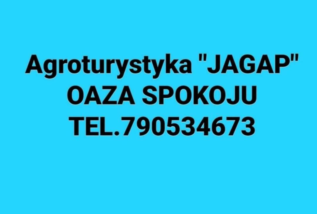 Agroturystyka "Jagap" Oaza Spokoju Dzierżoniów Exterior foto