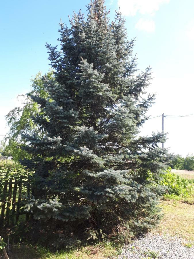 Agroturystyka "Jagap" Oaza Spokoju Dzierżoniów Exterior foto